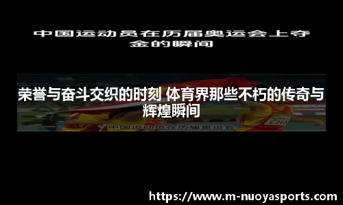 荣誉与奋斗交织的时刻 体育界那些不朽的传奇与辉煌瞬间