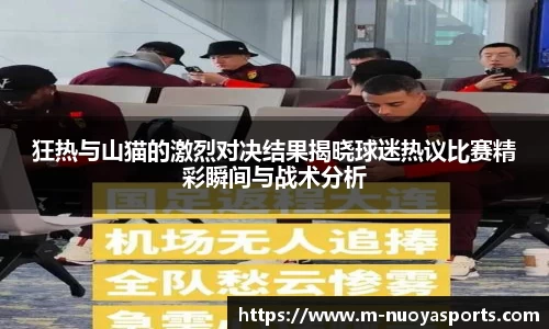 狂热与山猫的激烈对决结果揭晓球迷热议比赛精彩瞬间与战术分析